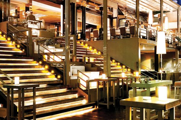 palmiye-006l palmiye-006l