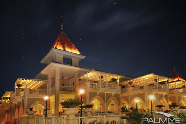 palmiye-012l palmiye-012l