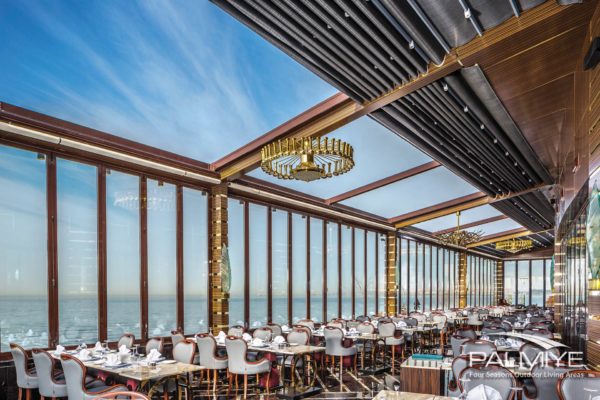 palmiye-049l palmiye-049l